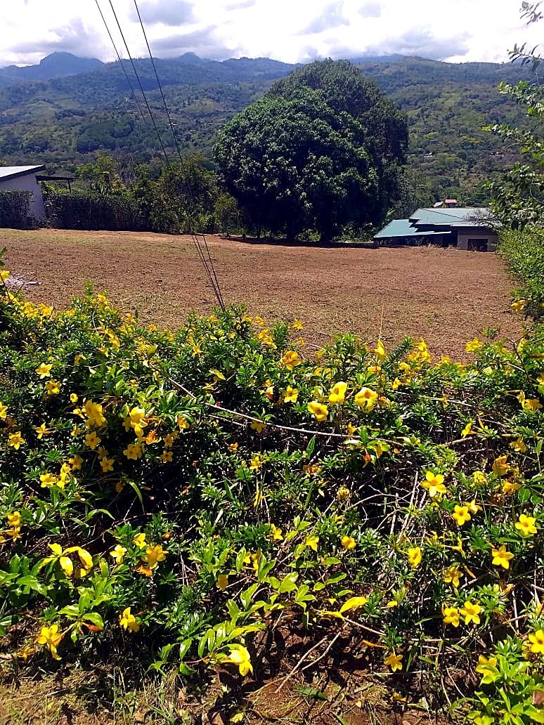 Land in Rivas, San José Province, Costa Rica 5 - 18517016