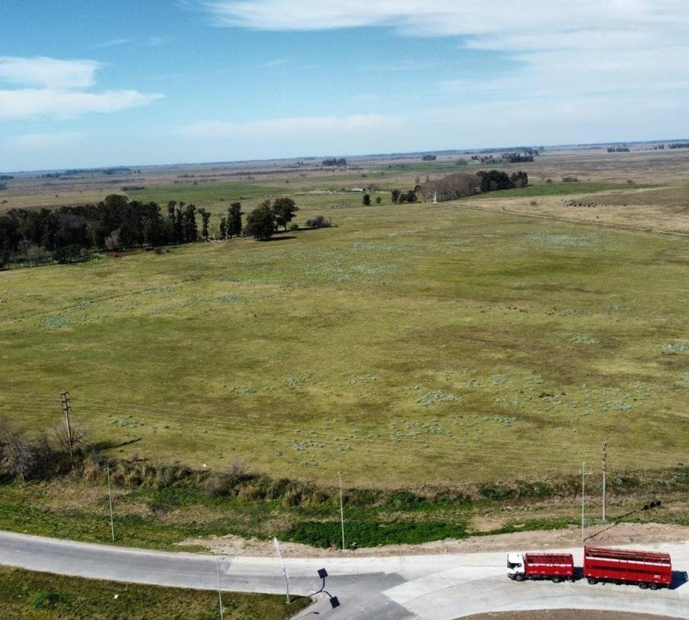 Land in San Vicente, Buenos Aires Province, Argentina 3 - 18521888