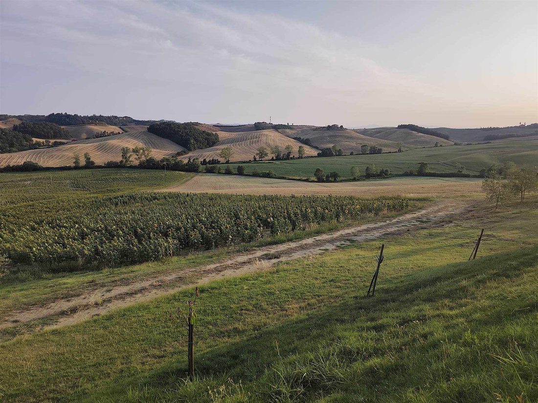 Land in Castelnuovo Berardenga, Tuscany, Italy 5 - 18519135