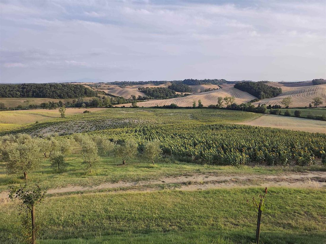Land in Castelnuovo Berardenga, Tuscany, Italy 3 - 18519135
