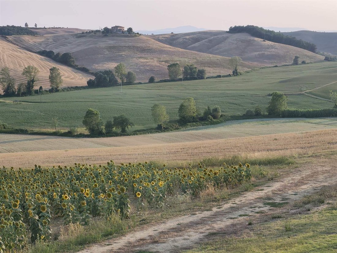 Land in Castelnuovo Berardenga, Tuscany, Italy 2 - 18519135