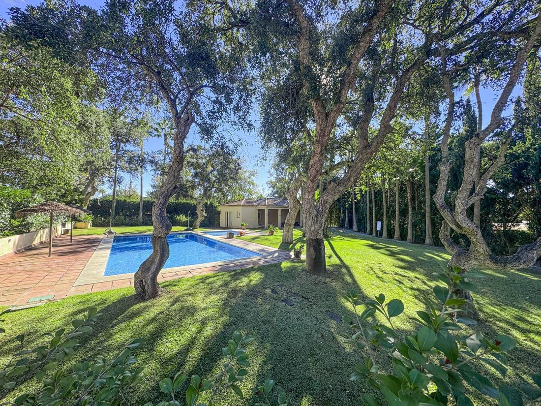 Villa in Sotogrande, San Roque, Andalusia 5 - 18518905