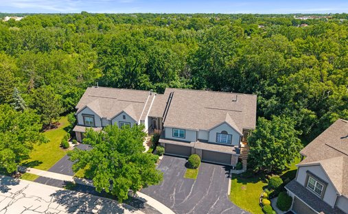 Townhouse in Darien, Illinois, United States 1