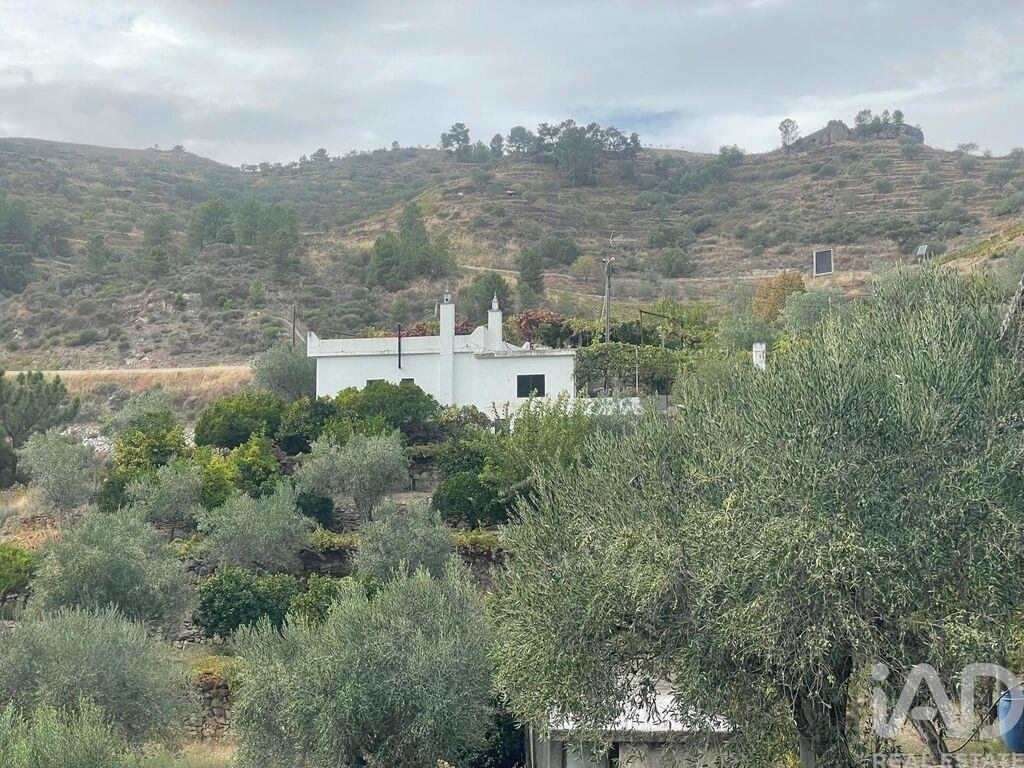 Farm Ranch in Carlao e Amieiro, Vila Real District, Portugal 4 - 18520634