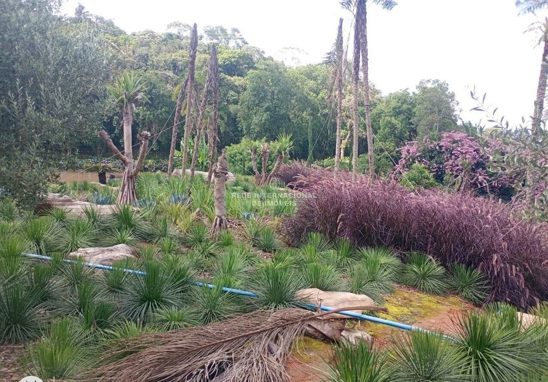 Farm Ranch in Piedade, State of São Paulo, Brazil 5 - 17073361