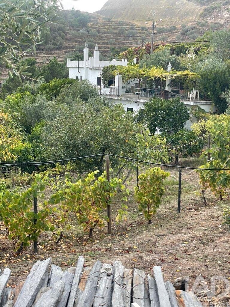 Farm Ranch in Carlao e Amieiro, Vila Real District, Portugal 5 - 18520634