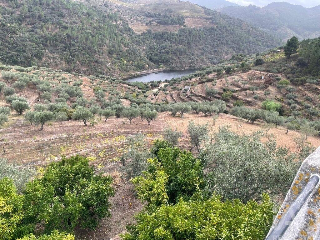 Farm Ranch in Carlao e Amieiro, Vila Real District, Portugal 3 - 18520634