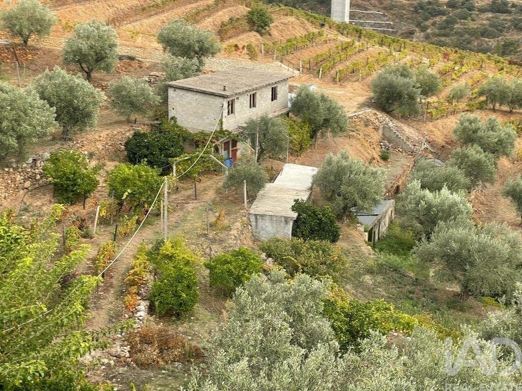 Farm Ranch in Carlao e Amieiro, Vila Real District, Portugal 1 - 18520634