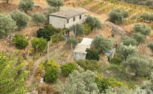 Rancho en Carlao e Amieiro, Distrito de Vila Real, Portugal 1