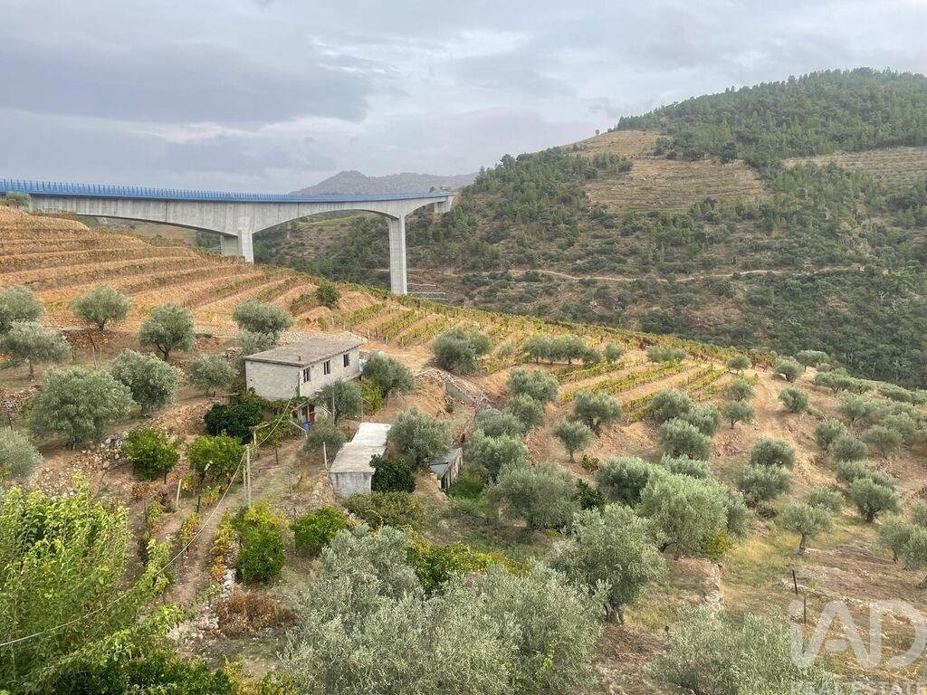Farm Ranch in Carlao e Amieiro, Vila Real District, Portugal 2 - 18520634