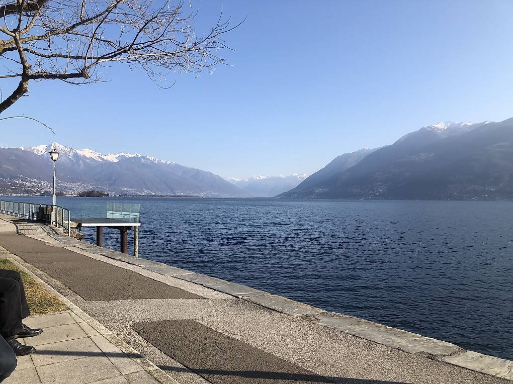 Wohnung in Brissago TI, Tessin, Schweiz 1 - 18523872