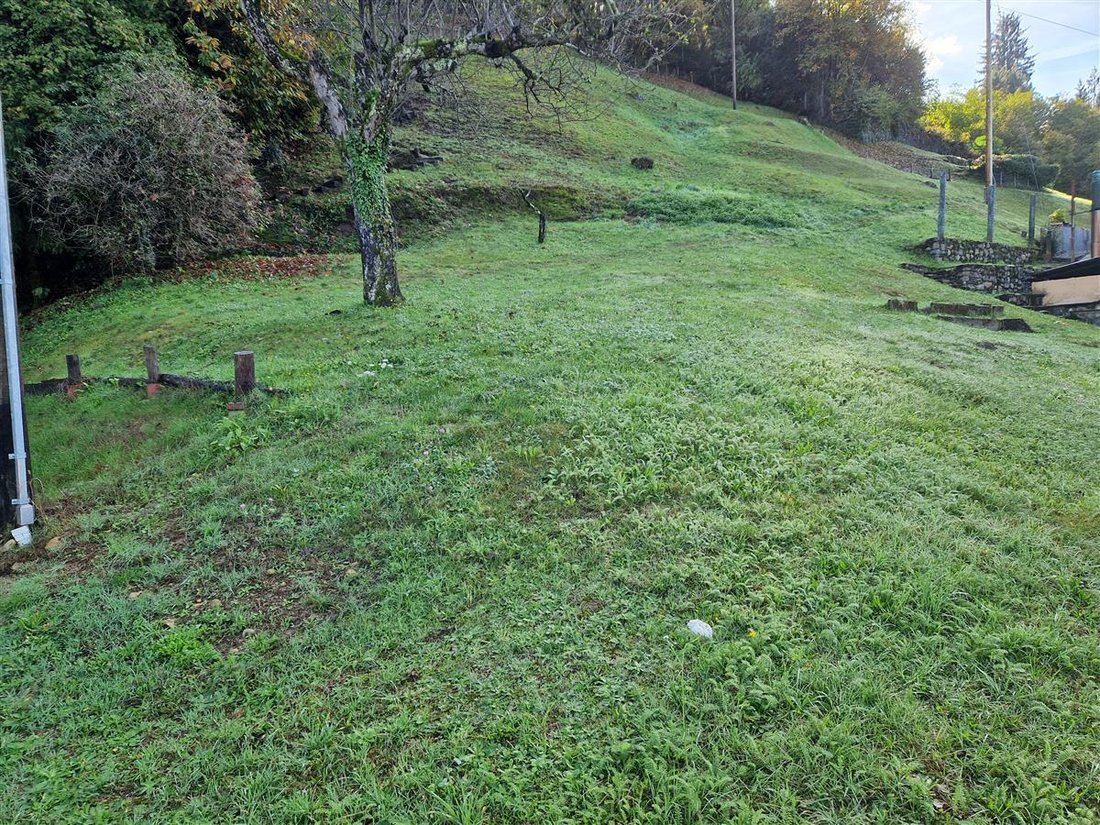 Land in Gambarogno, Ticino, Switzerland 5 - 18523013