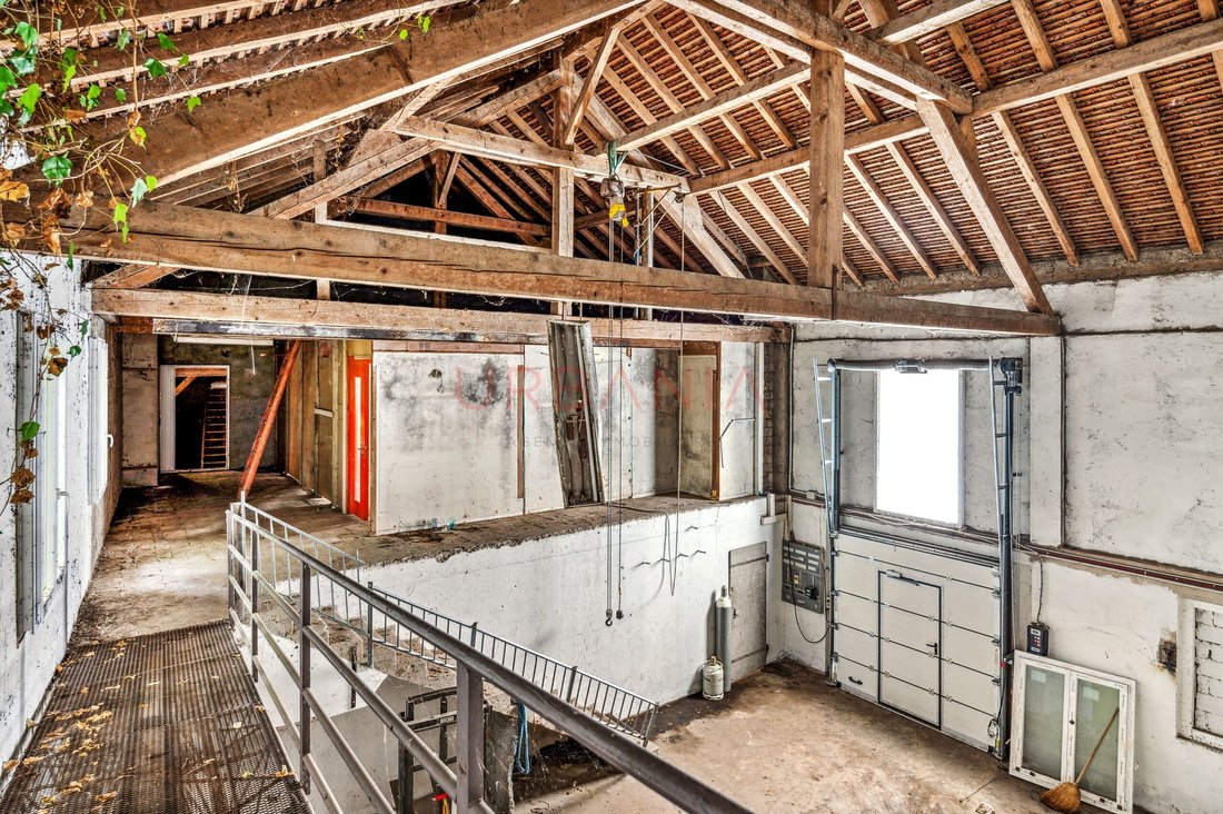Haus in Gingins, Waadt, Schweiz 2 - 18523412