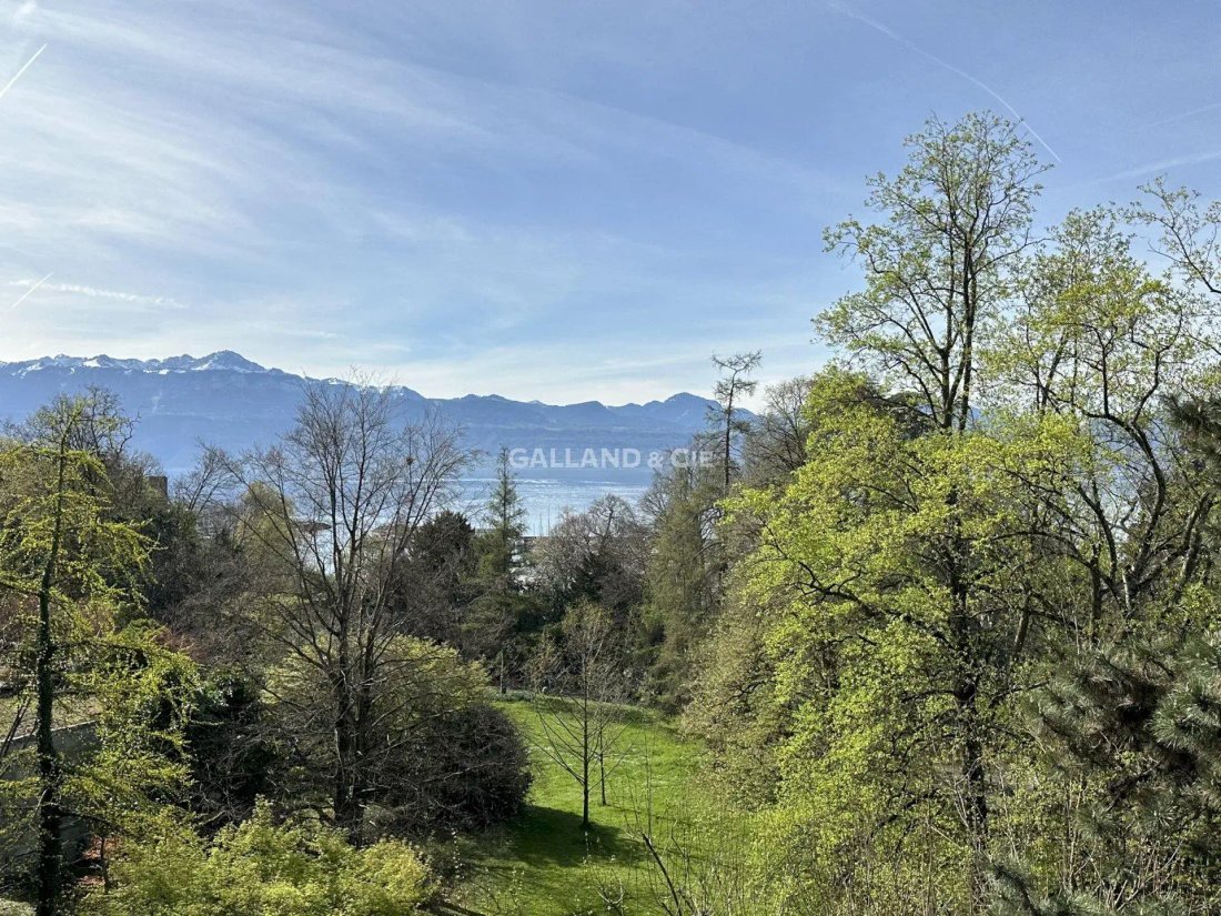 Apartment in Lausanne, Vaud, Switzerland 2 - 18523435