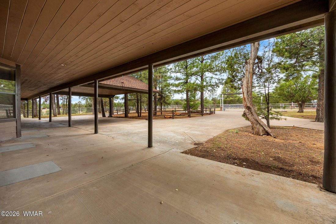 Pinedale, Arizona, United States 5 - 18522812