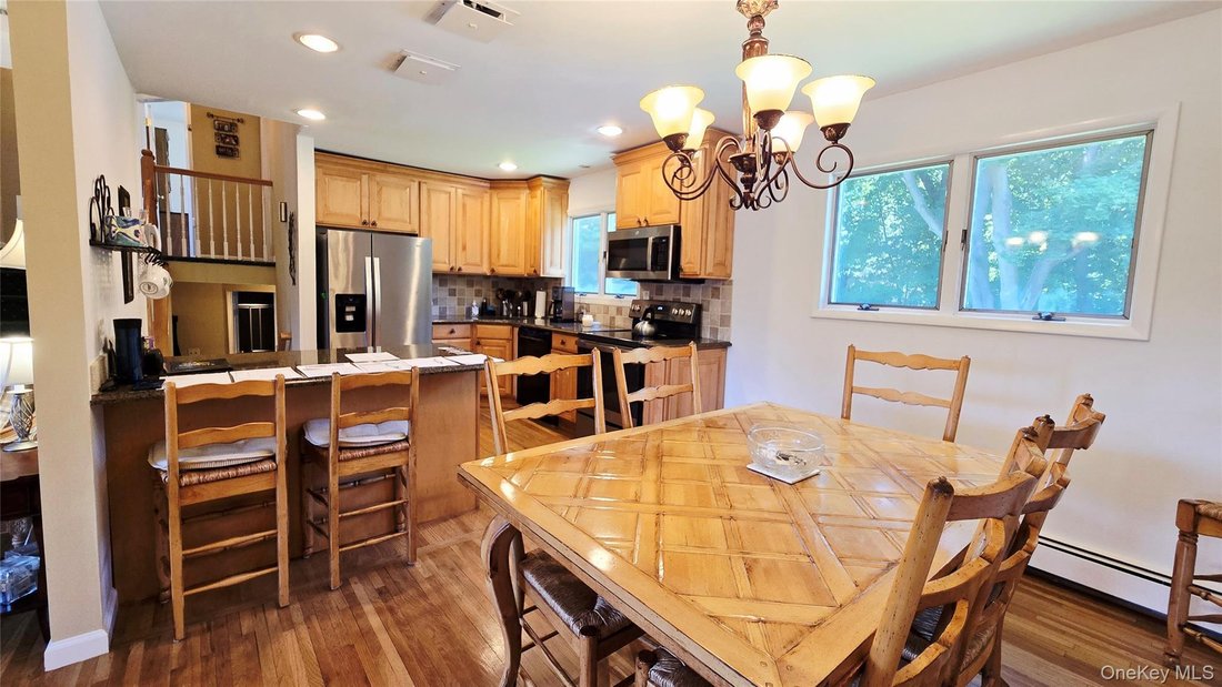 House in Syosset, New York, United States 4 - 18505687