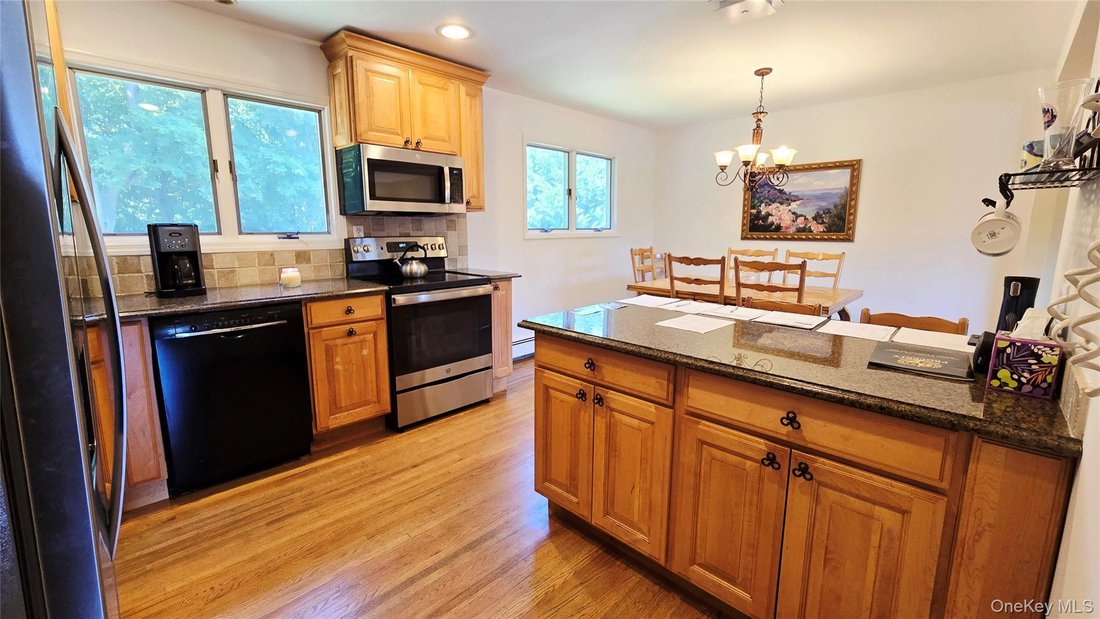 House in Syosset, New York, United States 5 - 18505687