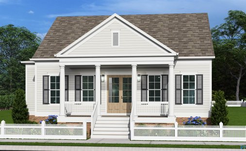House in Madison, Alabama, United States 1