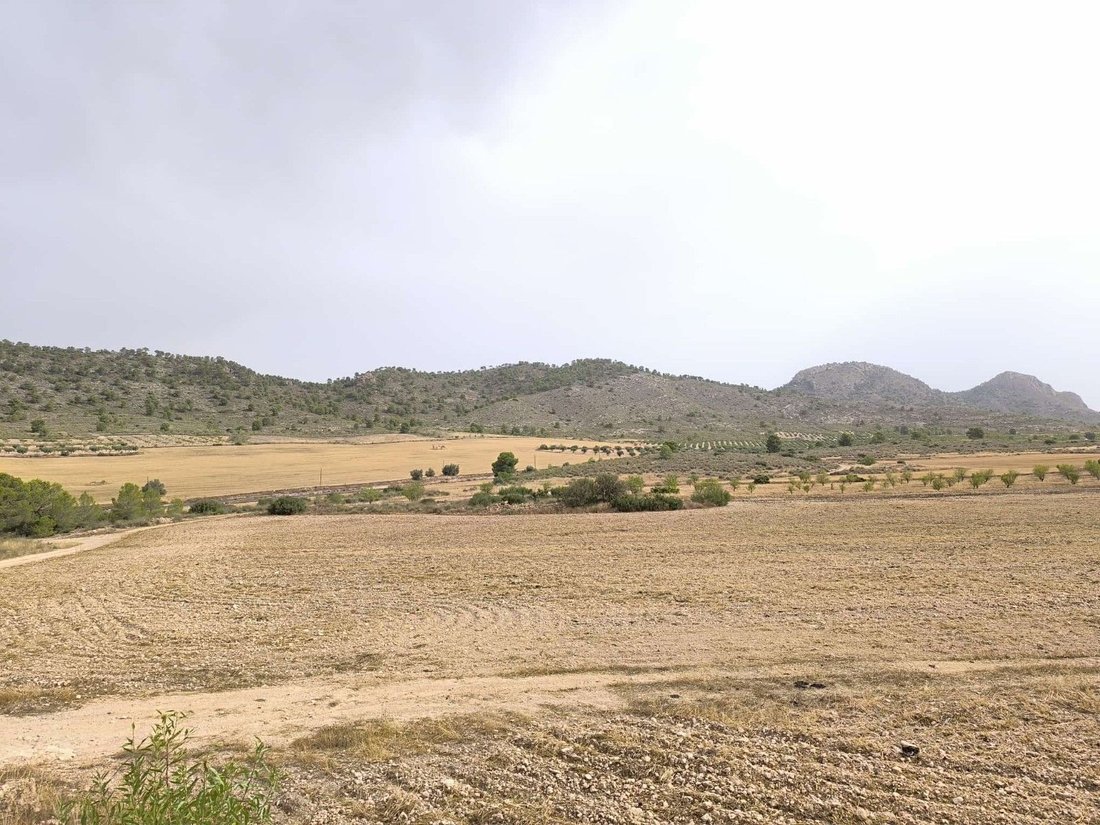 Terreno a Yecla, Murcia, Spagna 1 - 18524641