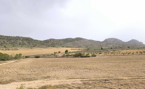Terreno a Yecla, Murcia, Spagna 1