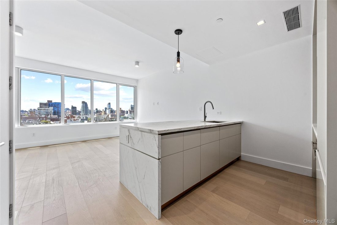 Condo in New York, New York, United States 3 - 18524528