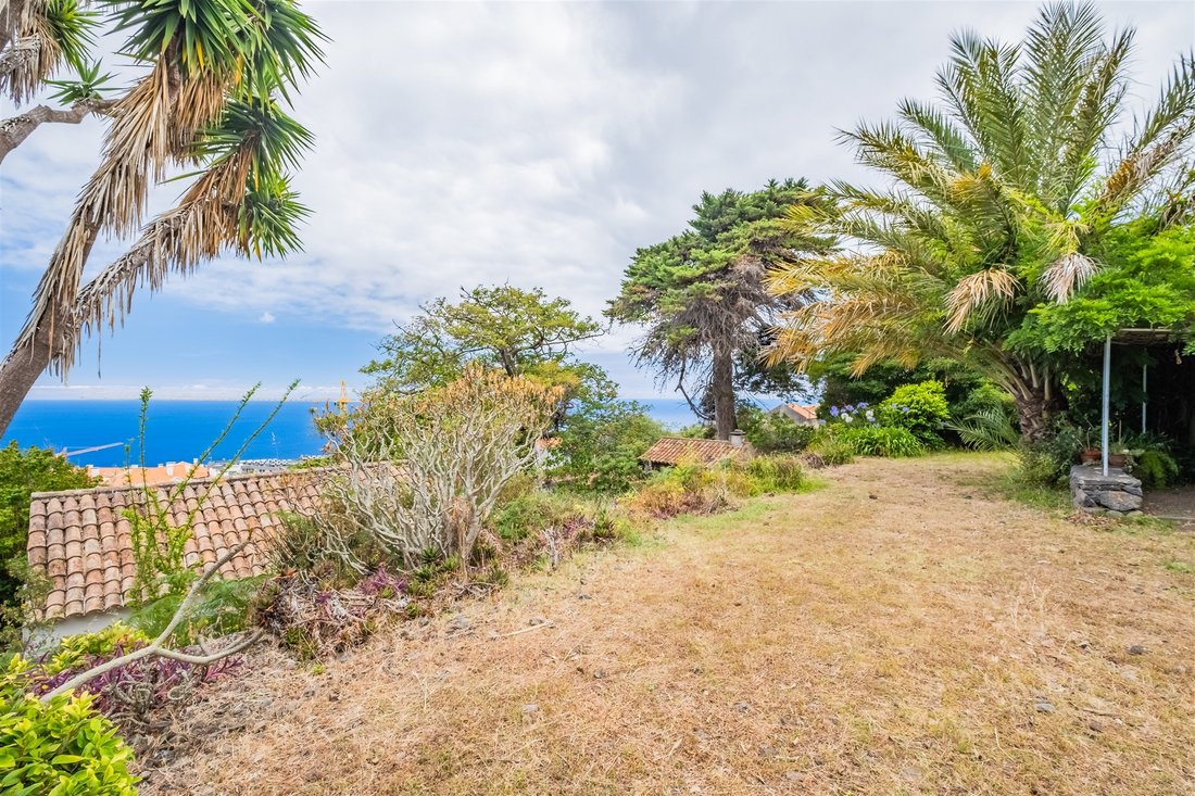 Farm Ranch in Santa Cruz, Madeira, Portugal 4 - 18524268