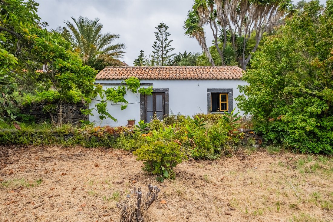 Farm Ranch in Santa Cruz, Madeira, Portugal 2 - 18524268