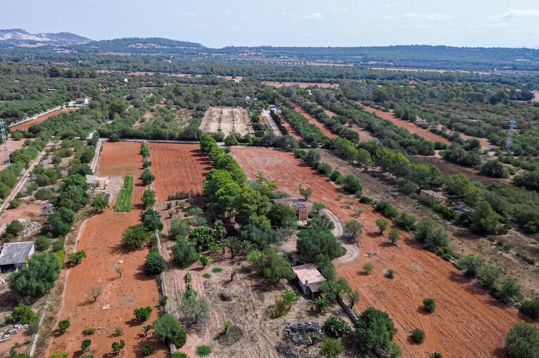 Country House in Campos, Balearic Islands, Spain 5 - 18524573