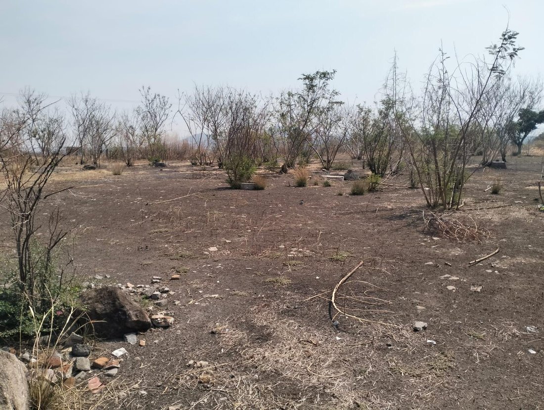 Land in Puente de Ixtla, Morelos, Mexico 5 - 18524578