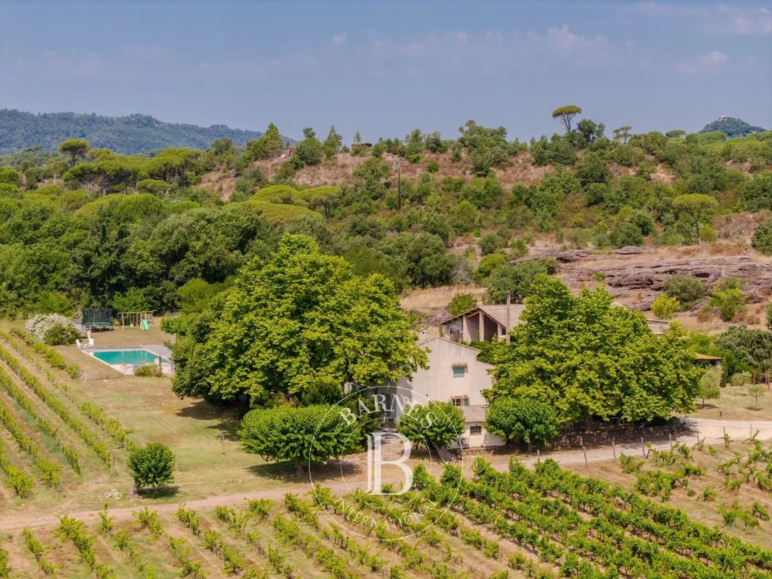 Farm Ranch in Sud, Vidauban, France 5 - 15454302