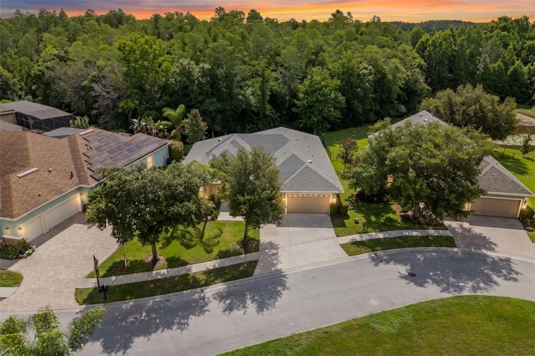 House in Odessa, Florida, United States 1 - 18365508