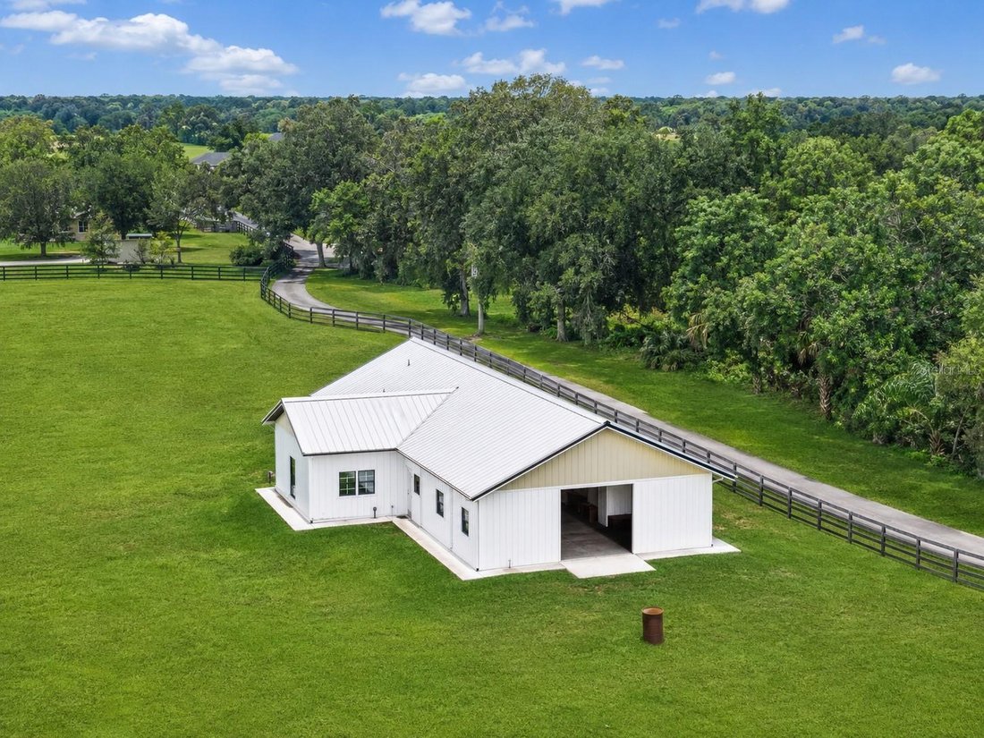 Farm Ranch in Morriston, Florida, United States 5 - 18525083