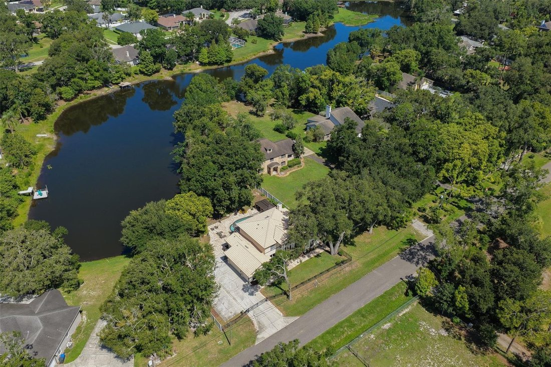 House in Lutz, Florida, United States 4 - 18511822