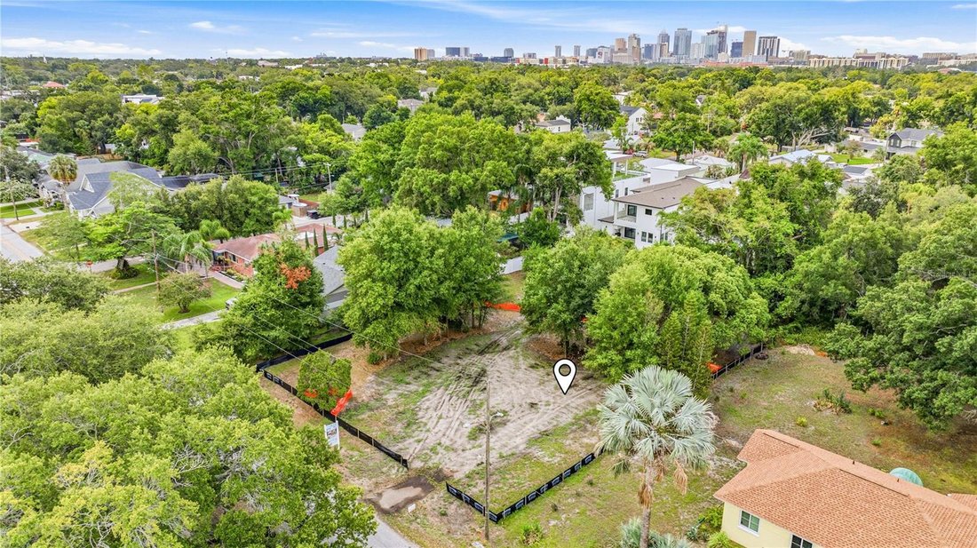 House in Tampa, Florida, United States 5 - 17603905