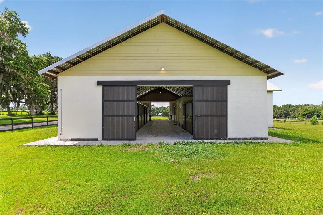 Farm Ranch in Morriston, Florida, United States 3 - 18525083