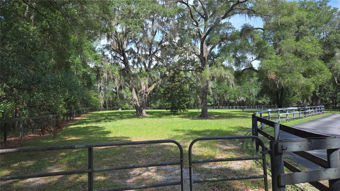 House in Ocala, Florida, United States 3 - 18293744