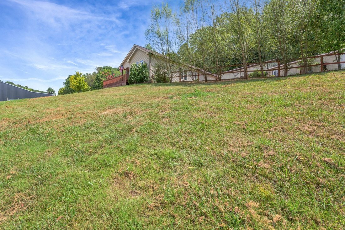 Mount Pleasant, Tennessee, United States 4 - 18525201