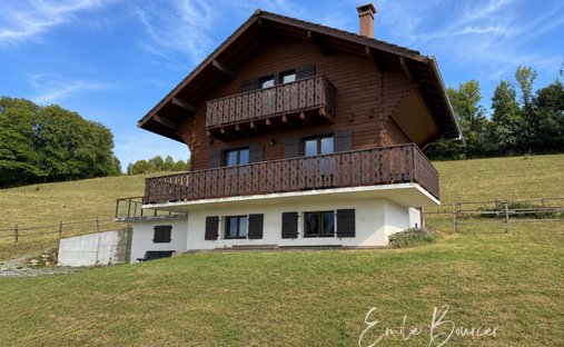 House in Saint-Paul-en-Chablais, Auvergne-Rhône-Alpes, France 1