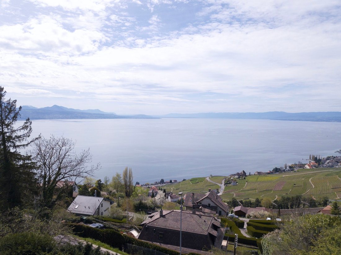 Apartment in Bourg-en-Lavaux, Vaud, Switzerland 1 - 18525883