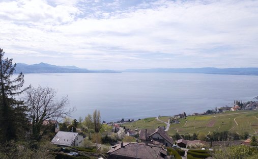 Appartamento a Bourg-en-Lavaux, Vaud, Svizzera 1