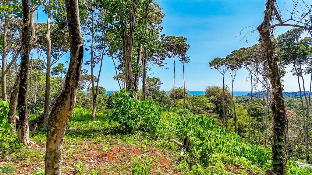 Land in Ojochal, Puntarenas Province, Costa Rica 1 - 17848418
