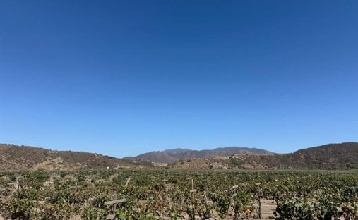 Land in San Quintín, Baja California, Mexico 1