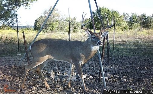 Land in Hico, Texas, United States 1
