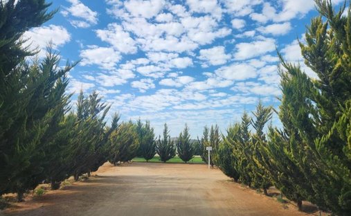 Terreno en Lomas de San Antonio, Baja California, México 1