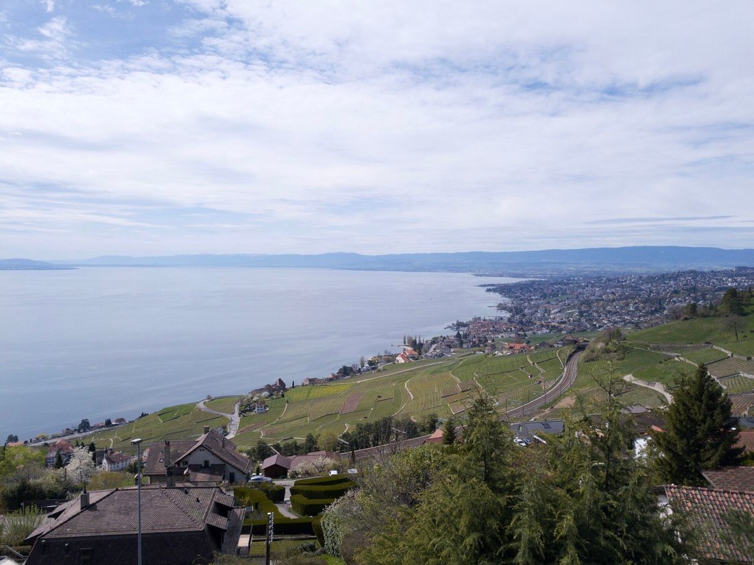 Apartment in Bourg-en-Lavaux, Vaud, Switzerland 2 - 18525883