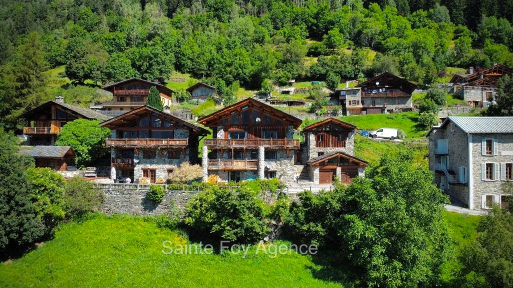Chalet in Sainte-Foy-Tarentaise, Auvergne-Rhône-Alpes, France 3 - 18525571