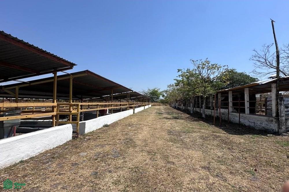 House in Rancho San Ignacio, Morelos, Mexico 1 - 18027326