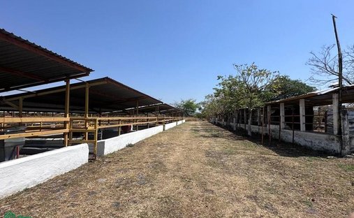House in Rancho San Ignacio, Morelos, Mexico 1
