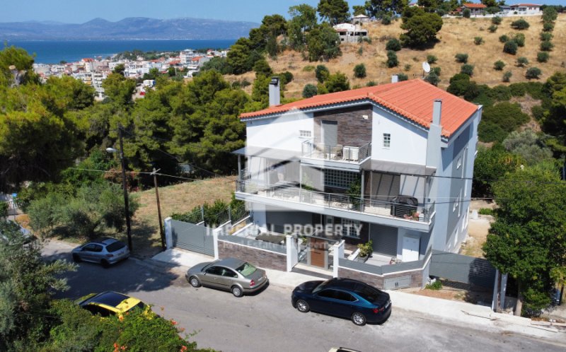 House in Oropos, Attica, Greece 1 - 17766603