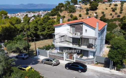 House in Oropos, Attica, Greece 1